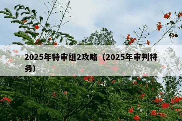 2025年特审组2攻略（2025年审判特务）