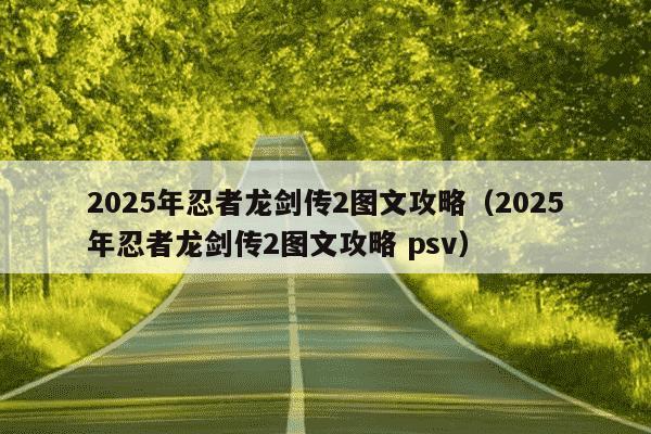2025年忍者龙剑传2图文攻略（2025年忍者龙剑传2图文攻略 psv）