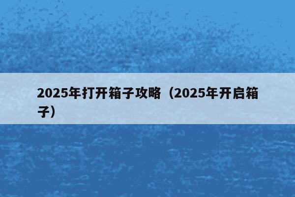 2025年打开箱子攻略(2025年开启箱子)