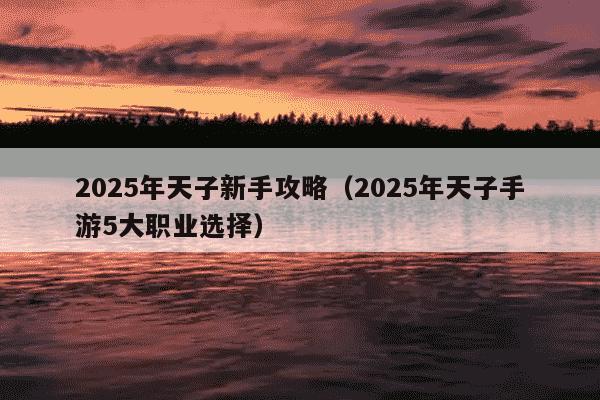 2025年天子新手攻略（2025年天子手游5大职业选择）