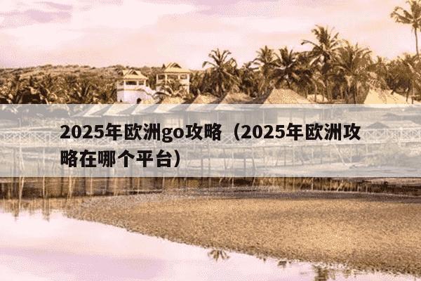 2025年欧洲go攻略(2025年欧洲攻略在哪个平台)