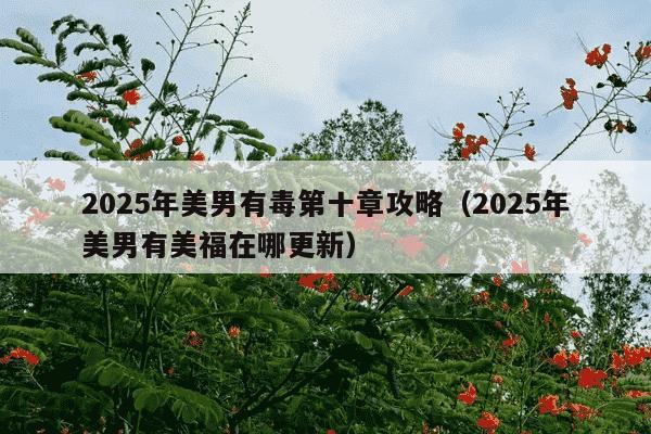 2025年美男有毒第十章攻略(2025年美男有美福在哪更新)