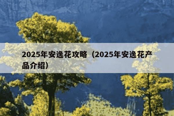 2025年安逸花攻略（2025年安逸花产品介绍）