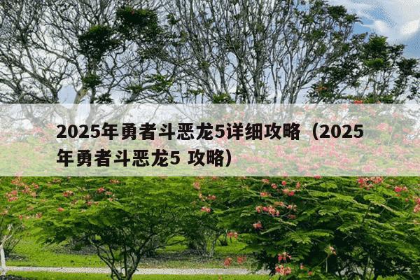 2025年勇者斗恶龙5详细攻略（2025年勇者斗恶龙5 攻略）