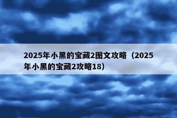 2025年小黑的宝藏2图文攻略（2025年小黑的宝藏2攻略18）