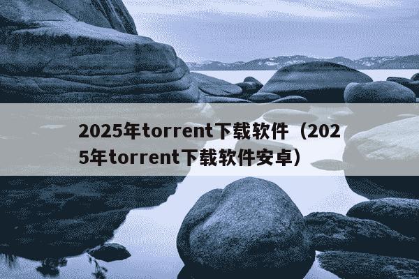 2025年torrent下载软件（2025年torrent下载软件安卓）