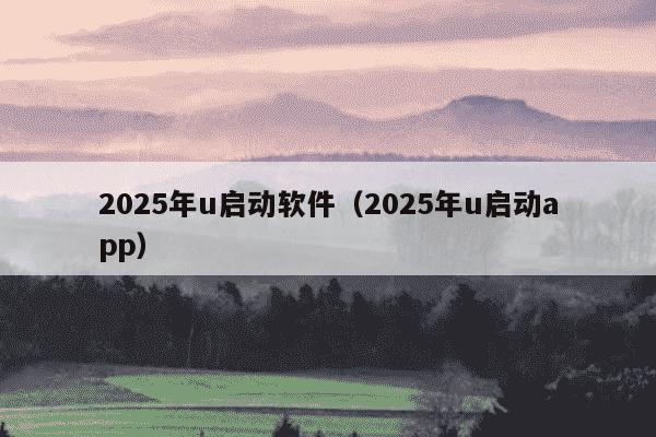2025年u启动软件(2025年u启动app)