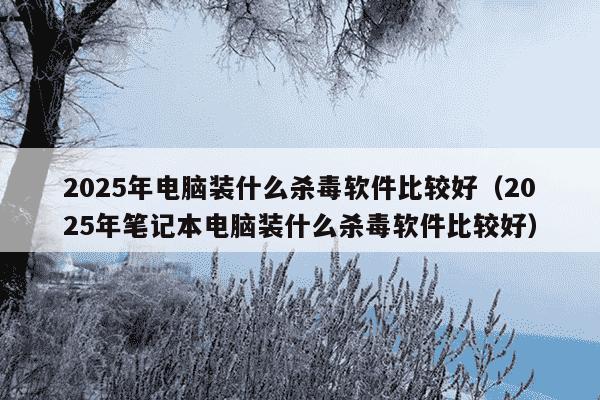 2025年电脑装什么杀毒软件比较好(2025年笔记本电脑装什么杀毒软件比较好)