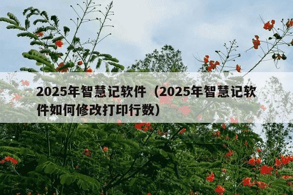 2025年智慧记软件(2025年智慧记软件如何修改打印行数)