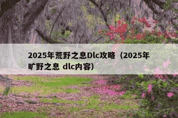 2025年荒野之息Dlc攻略(2025年旷野之息 dlc内容)