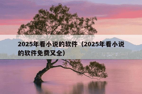 2025年看小说的软件(2025年看小说的软件免费又全)