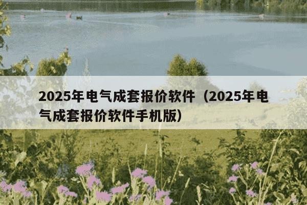 2025年电气成套报价软件(2025年电气成套报价软件手机版)