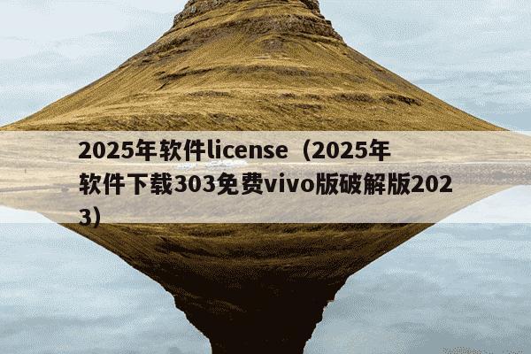 2025年软件license(2025年软件下载303免费vivo版破解版2023)