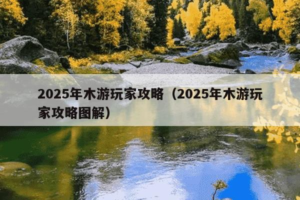 2025年木游玩家攻略(2025年木游玩家攻略图解)