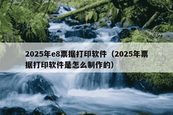 2025年e8票据打印软件(2025年票据打印软件是怎么制作的)