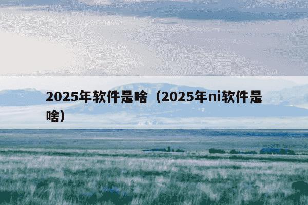 2025年软件是啥(2025年ni软件是啥)