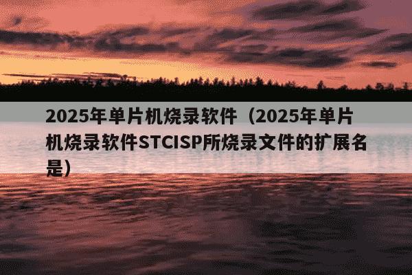 2025年单片机烧录软件(2025年单片机烧录软件STCISP所烧录文件的扩展名是)