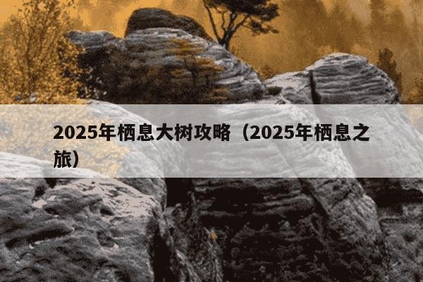 2025年栖息大树攻略(2025年栖息之旅)