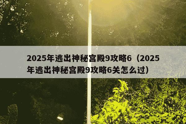2025年逃出神秘宫殿9攻略6(2025年逃出神秘宫殿9攻略6关怎么过)