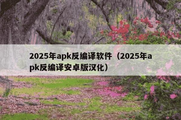 2025年apk反编译软件(2025年apk反编译安卓版汉化)