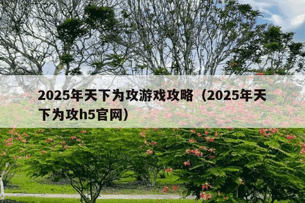 2025年天下为攻游戏攻略(2025年天下为攻h5官网)