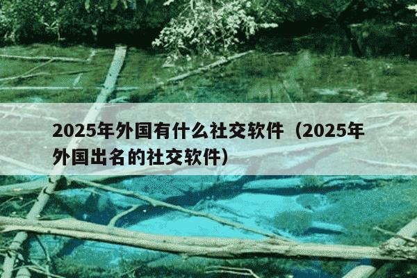 2025年外国有什么社交软件(2025年外国出名的社交软件)