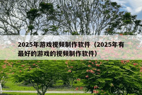 2025年游戏视频制作软件（2025年有最好的游戏的视频制作软件）
