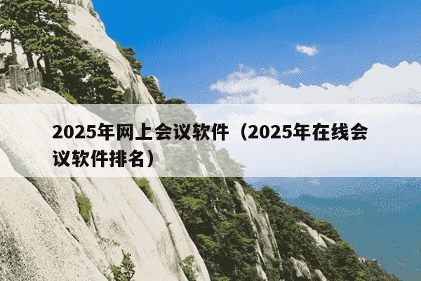 2025年网上会议软件(2025年在线会议软件排名)