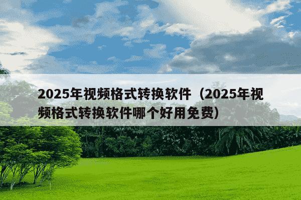 2025年视频格式转换软件(2025年视频格式转换软件哪个好用免费)
