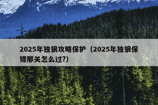 2025年独狼攻略保护(2025年独狼保镖那关怎么过?)