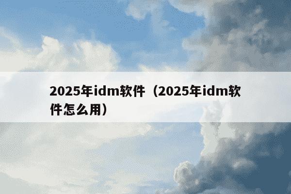 2025年idm软件(2025年idm软件怎么用)