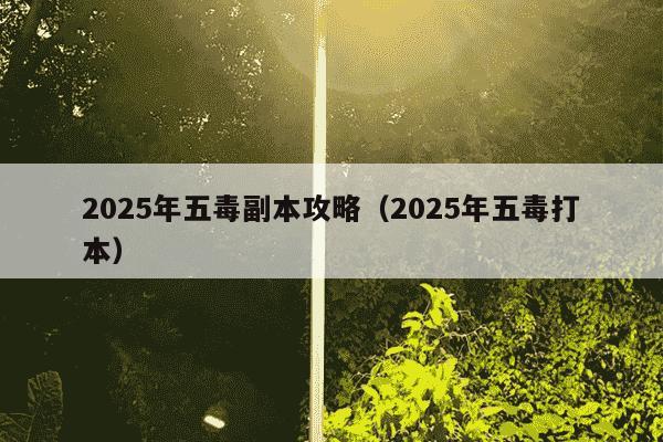 2025年五毒副本攻略(2025年五毒打本)