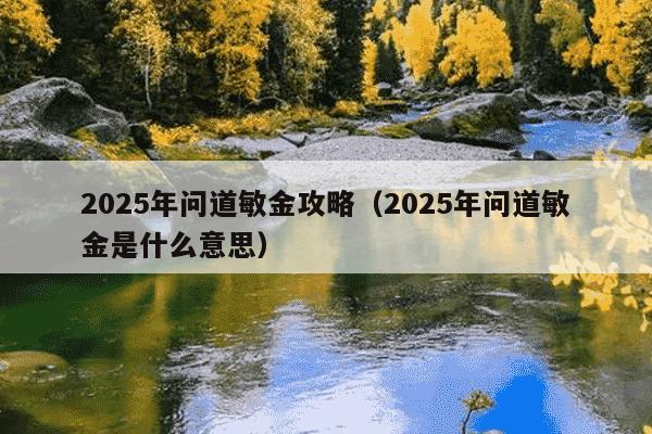 2025年问道敏金攻略（2025年问道敏金是什么意思）