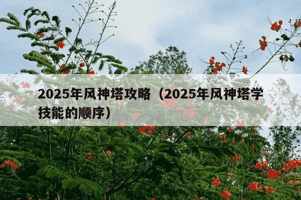 2025年风神塔攻略(2025年风神塔学技能的顺序)