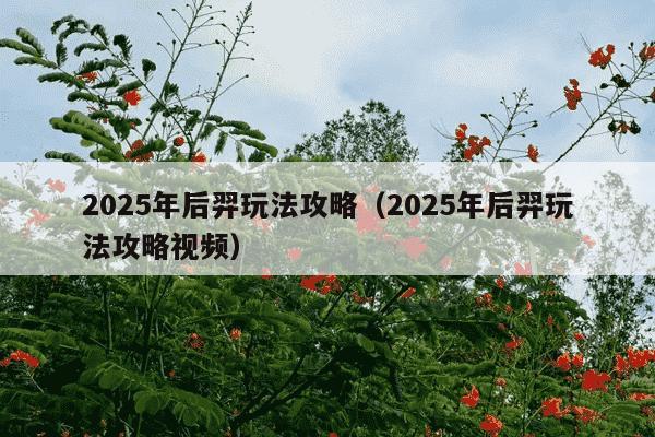 2025年后羿玩法攻略(2025年后羿玩法攻略视频)
