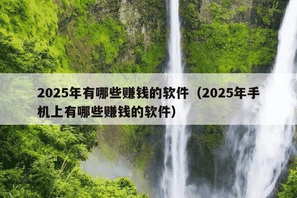 2025年有哪些赚钱的软件(2025年手机上有哪些赚钱的软件)