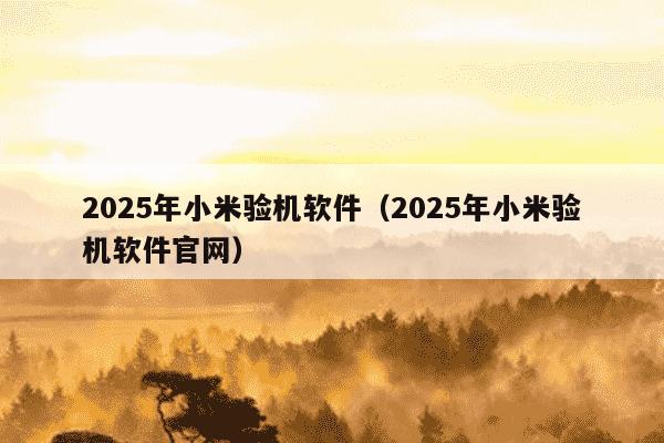 2025年小米验机软件(2025年小米验机软件官网)