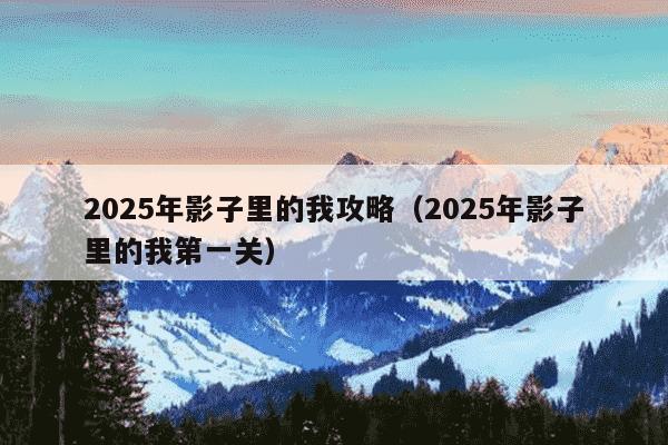 2025年影子里的我攻略(2025年影子里的我第一关)