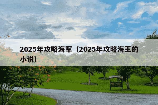 2025年攻略海军(2025年攻略海王的小说)
