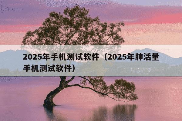 2025年手机测试软件(2025年肺活量手机测试软件)