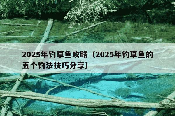 2025年钓草鱼攻略(2025年钓草鱼的五个钓法技巧分享)
