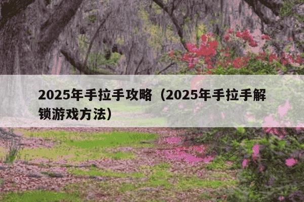 2025年手拉手攻略(2025年手拉手解锁游戏方法)