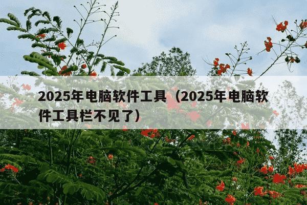 2025年电脑软件工具(2025年电脑软件工具栏不见了)