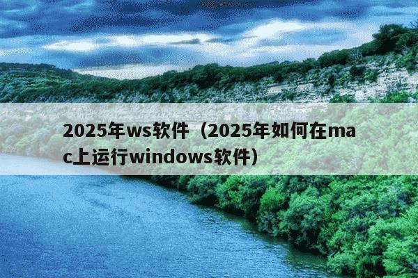 2025年ws软件(2025年如何在mac上运行windows软件)