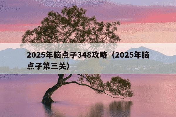 2025年脑点子348攻略(2025年脑点子第三关)
