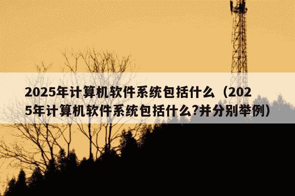 2025年计算机软件系统包括什么(2025年计算机软件系统包括什么?并分别举例)