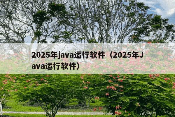 2025年java运行软件(2025年Java运行软件)