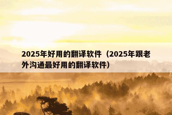 2025年好用的翻译软件(2025年跟老外沟通最好用的翻译软件)