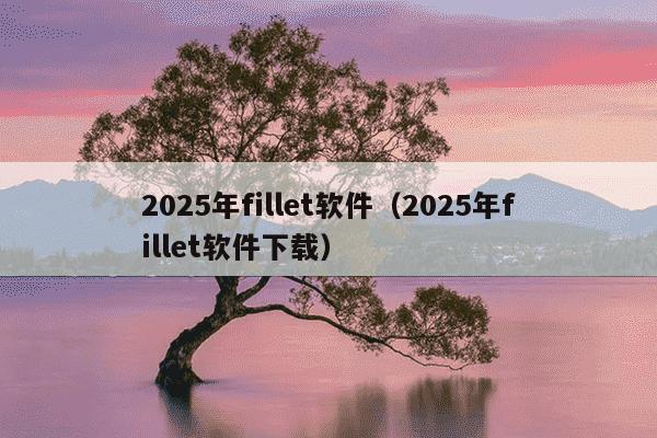 2025年fillet软件（2025年fillet软件下载）