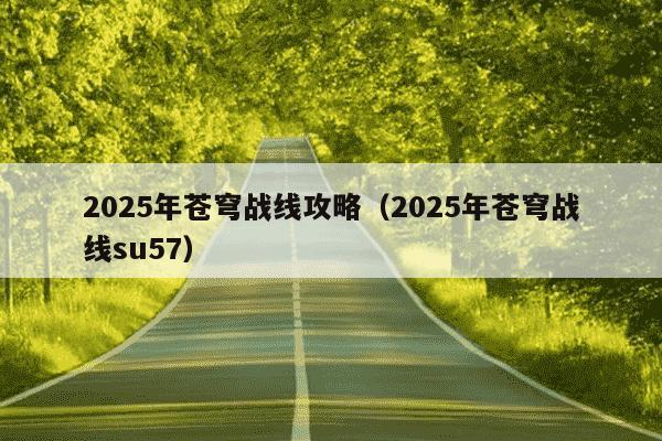 2025年苍穹战线攻略（2025年苍穹战线su57）